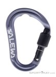 Salewa Ortles S HMS-Karabiner-Grau-One Size