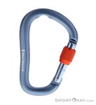 Black Diamond RockLock Screwgate HMS-Karabiner-Grau-One Size