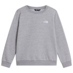 The North Face - Kid's Teen Evolution Simple Dome Crew - Pullover Gr L grau