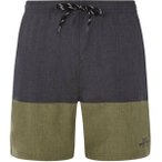 PROTEST Herren Badeshorts PRTFreddie, Größe S in Grau