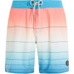 PROTEST Herren Badeshorts PRTMANLY beachshort, Größe M in Blau