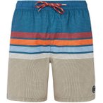 PROTEST Herren Badeshorts PRTAvik, Größe S in Grau