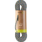 Edelrid Parrot 2R 9.6 Kletterseil (Größe 40M, mehrfarbig)