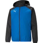 PUMA Herren Blouson teamLIGA All Weather Jacke, Größe M in Blau