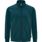 SCHNEIDER SPORTSWEAR Herren Blouson JONATHANM-JACKE, Größe 56 in Grün