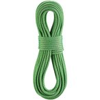 Edelrid Boa Gym 9.8mm Kletterseil, 40m, oasis