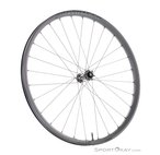 Bontrager Line Pro 30 TLR Boost 29'' Laufrad Vorne-Schwarz-29