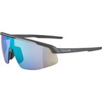 Alpina Turbo Pro Q-Lite Sportbrille  Sportbrillen & Sportsonnenbrillen grau Grö