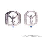 HT AE03 EVO+ Flat Pedale-Grau-One Size