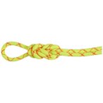 Mammut 9.5 Alpine Core Protect Dry Rope - Einfachseil, Gr. 50 m