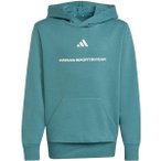 ADIDAS Kinder Kapuzensweat Boys Slogan Fleece Hoodie Kids, Größe 176 in Blau