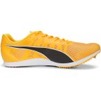 PUMA Herren Leichtathletikschuhe evoSPEED Distance 11, Größe 40 ½ in Orange