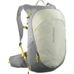 SALOMON Kleintasche TRAILBLAZER 20 SEDONA SAGE/SEAGRASS/CRES, Größe ONE SIZE i