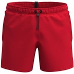 ARENA Herren Badeshorts M EVO BEACH SHORT SOLID, Größe L in Rot