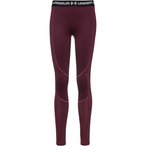 Under Armour Cold Gear Tights Damen