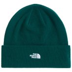 The North Face - Norm Beanie - Mütze Gr One Size grün