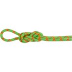 Mammut 8.0 Alpine Core Protect Dry Kletterseil  Kletterseile gruen Größe 30m A