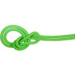 Mammut 9.5 Crag Dry 70m Einfachseil Unisex ( Grün 70)