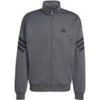 ADIDAS Herren Rolli Future Icons 3-Streifen Woven, Größe XL in Grau