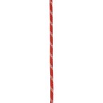 Edelrid Static Low Stretch 11.0mm Statikseil (Größe 50M, rot)