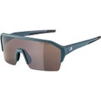 ALPINA Herren Brille ALPINA RAM HR HM+, Größe ONE SIZE in Grau