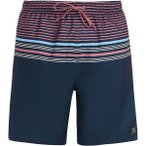 PROTEST Herren Badeshorts PRTGIO beachshort, Größe XS in Blau