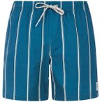 PROTEST Herren Badeshorts PRTGonz, Größe S in Blau
