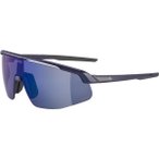 ALPINA Herren Brille TURBO PRO Q-LITE, Größe ONE SIZE in Grau