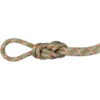Mammut 9.5 Gym Classic Kletterseil  Kletterseile grau Größe 50M Sportklettern