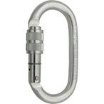 C.A.M.P. Oval Pro Lock - Schraubkarabiner silver