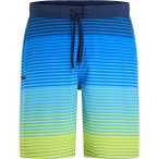 FIREFLY Herren Badeshorts He.-Badeshorts Otto II M Shade Stripe, Größe S in Sc