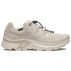 Salomon - Women's XT-Evr GORE-TEX - Sneaker 42 2/3 grau/beige