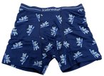 Icebreaker Herren 150 Bear Tour Anatomica Boxers M