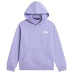 The North Face - Kid's Evolution Box NSE Pullover Hoodie - Hoodie Gr XS lila
