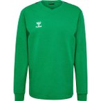 HUMMEL Herren Sweatshirt hmlAUTHENTIC CO TRAINING SWEAT, Größe XS in Grün