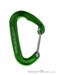 Metolius FS Mini II Schnappkarabiner-Grün-One Size