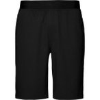 Black Diamond Herren Sierra Shorts (Größe L, schwarz)