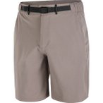 SALOMON Herren Shorts WAYFARER 2.0 SHORTS M IRON, Größe M in Grau