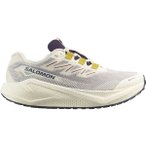 SALOMON Herren Laufschuhe SHOES AERO BLAZE 3 GRVL GTX Vanila/Astra, Größe 48 i