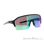 Alpina RAM HR Q-Lite Sportbrille-Schwarz-One Size
