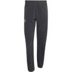 ADIDAS Herren Hose Terrex Xperior CLIMA365 Light, Größe S in Grau