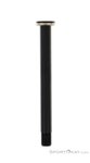 DT Swiss Plug In RWS Road 100x12mm Steckachse-Schwarz-One Size