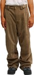DC Shoes - Wasserdichte und atmungsaktive Hose – Herren – Snow Carpenter Pan
