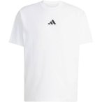 ADIDAS Herren T-Shirt RUNNING CATEGORY GRAFIK, Größe L in Weiß