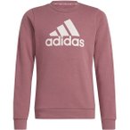 ADIDAS Kinder Sweatshirt Essentials Big Logo Cotton, Größe 164 in Braun