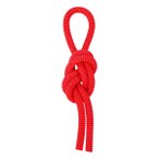 Salewa Red 9.6 Kletterseil (Größe 80M, rot)