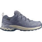 SALOMON Damen Trailrunningschuhe SHOES XA PRO 3D V9 GTX W Grisai/Tradewin, Grö�