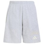 adidas - Kid's Seasonals Collegiate Typography Short - Shorts Gr 116 grau