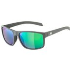 Alpina - Nacan I Polarized  Mirror S3 - Sonnenbrille grau