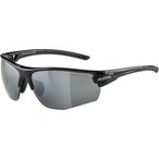 ALPINA TRI-SCRAY 2.0 HR Brille
